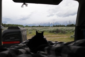 4Runner camping in the Grand Tetons