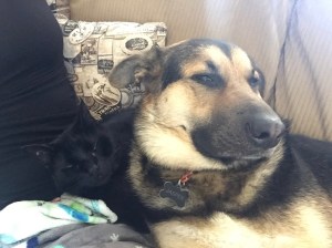 The 3 of us watching TV