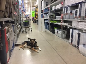 UNADJUSTEDNONRAW_thumb_2a4e